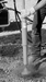 Pole Tamper w/ Round Shoe - TA54113